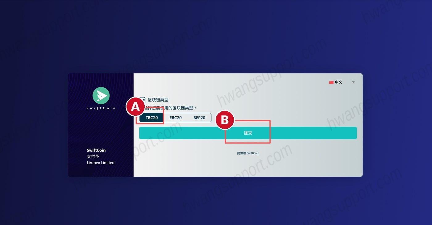 USDT 入金教程 操作截图