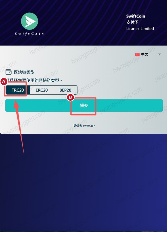 USDT 入金教程 操作截图