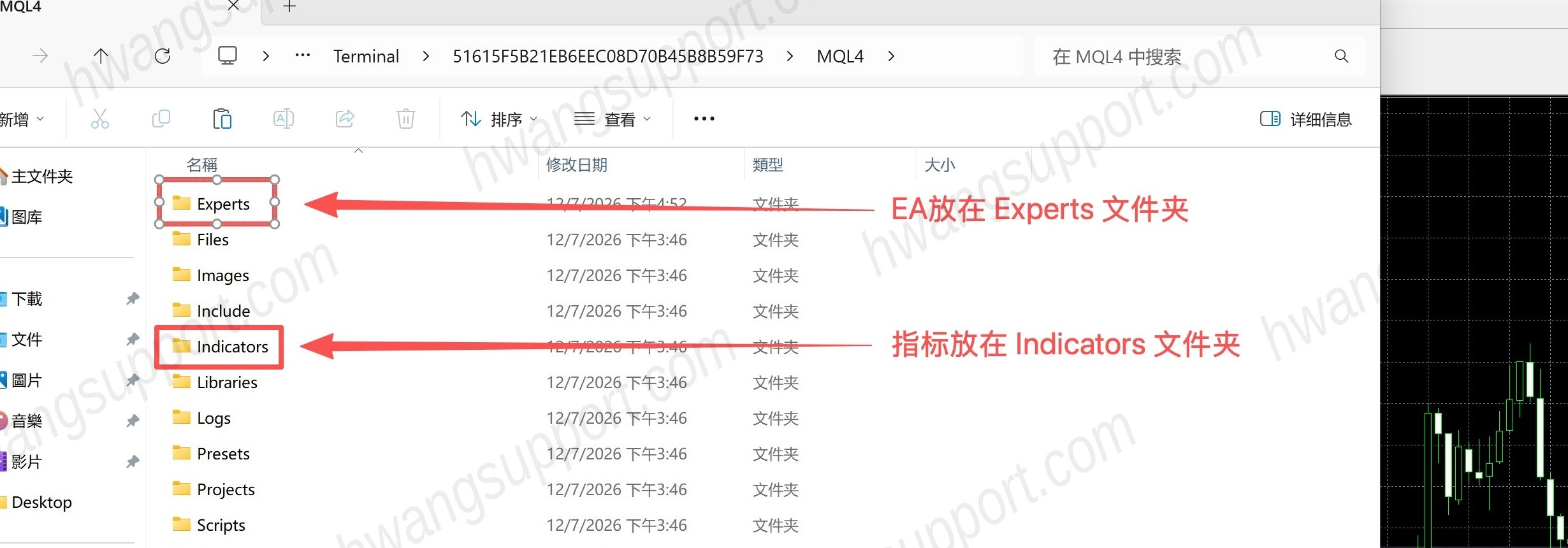 认清两个文件夹：Experts / Indicators