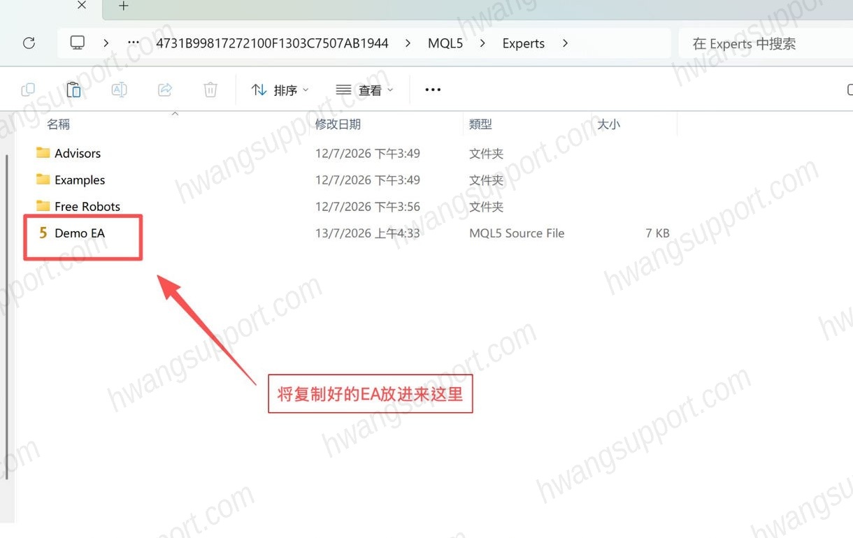 把 EA 粘贴进「Experts」